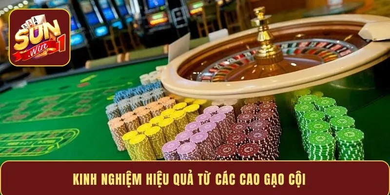 Kinh nghiệm hiệu quả từ các cao gạo cội
