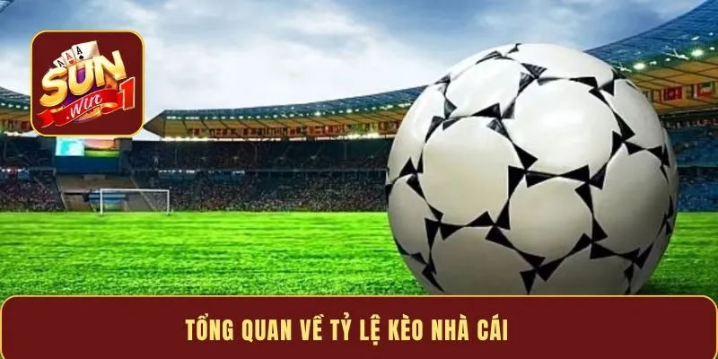 Tổng quan về tỷ lệ kèo nhà cái